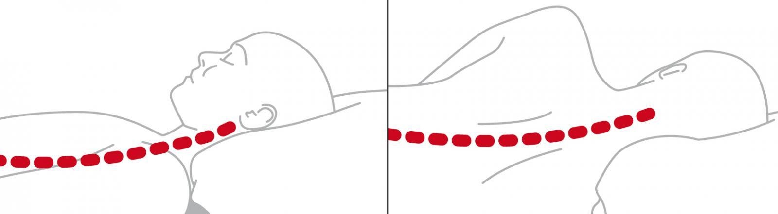 SYSTAM C130P Poduszka ergonomiczna z piany z efektem pamięci, r. 60x40 cm
