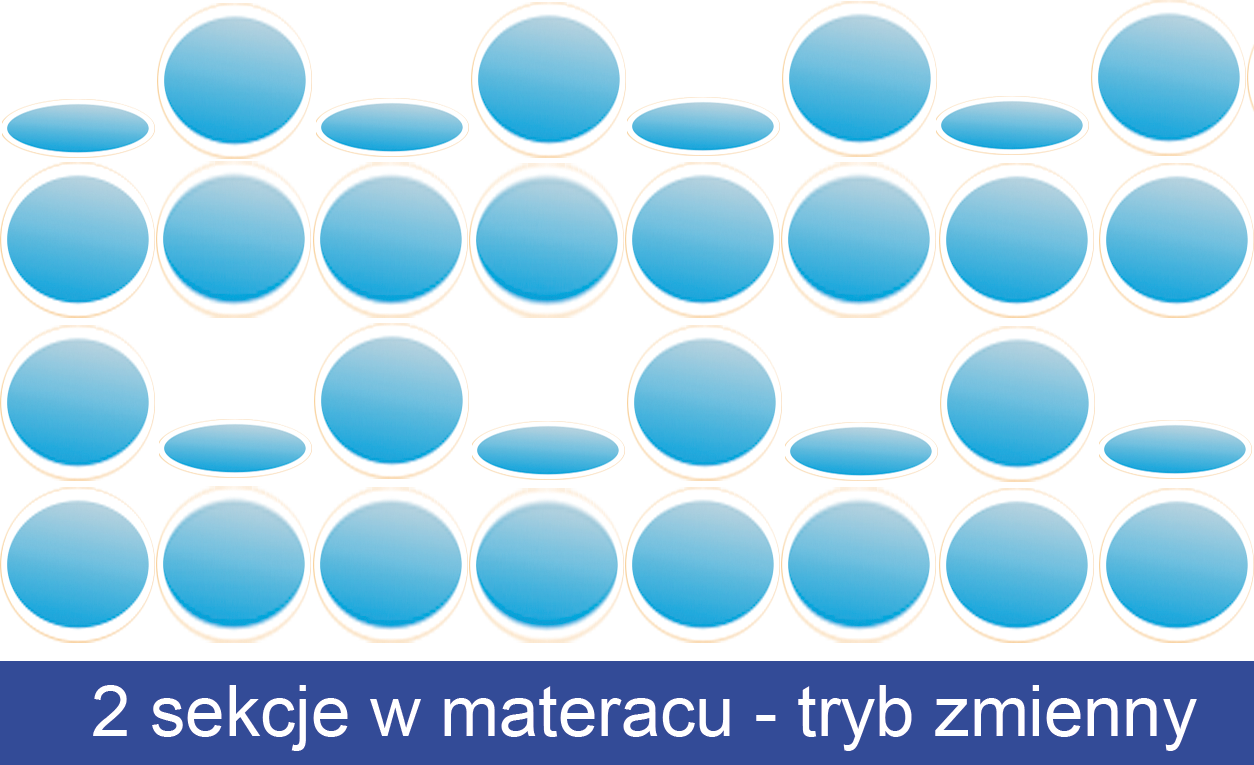 REVITA IDA AB z pompą ALFA Materac przeciwodleżynowy